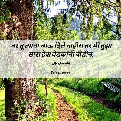 Picture 06 - निर्गम 8:2 MARIRV - जर तू त्यांना जाऊ - Bible Verse Picture