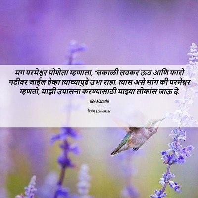 Picture 06 - निर्गम 8:20 MARIRV - मग परमेश्वर - Bible Verse Picture