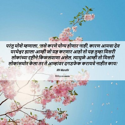 Picture 06 - निर्गम 8:26 MARIRV - परंतु मोशे - Bible Verse Picture