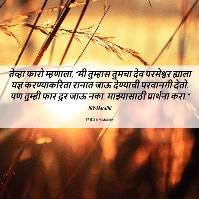 Picture 06 - निर्गम 8:28 MARIRV - तेव्हा फारो - Bible Verse Picture