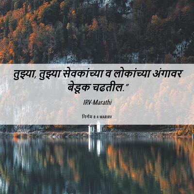 Picture 06 - निर्गम 8:4 MARIRV - तुझ्या, तुझ्या - Bible Verse Picture