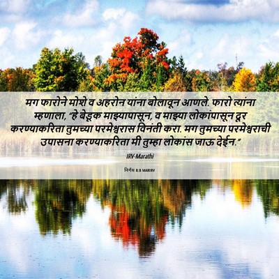Picture 06 - निर्गम 8:8 MARIRV - मग फारोने मोशे व - Bible Verse Picture