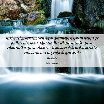 Picture 06 - निर्गम 8:9 MARIRV - मोशे फारोला - Bible Verse Picture