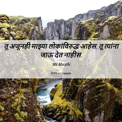 Picture 06 - निर्गम 9:17 MARIRV - तू अजूनही माझ्या - Bible Verse Picture
