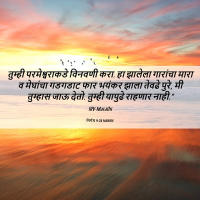 Picture 06 - निर्गम 9:28 MARIRV - तुम्ही - Bible Verse Picture