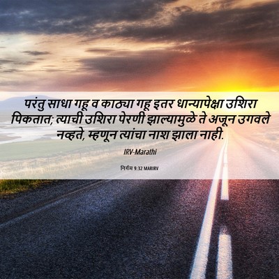 Picture 06 - निर्गम 9:32 MARIRV - परंतु साधा गहू व - Bible Verse Picture