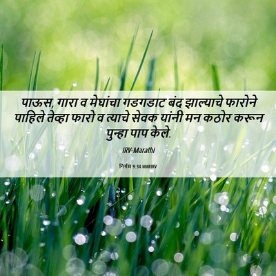 Picture 06 - निर्गम 9:34 MARIRV - पाऊस, गारा व - Bible Verse Picture