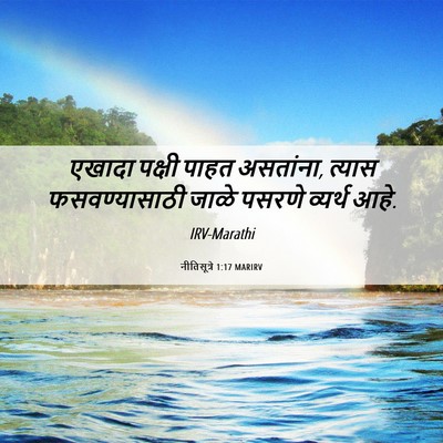 Picture 06 - नीतिसूत्रे 1:17 MARIRV - एखादा पक्षी पाहत - Bible Verse Picture