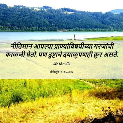 Picture 06 - नीतिसूत्रे 12:10 MARIRV - नीतिमान आपल्या - Bible Verse Picture