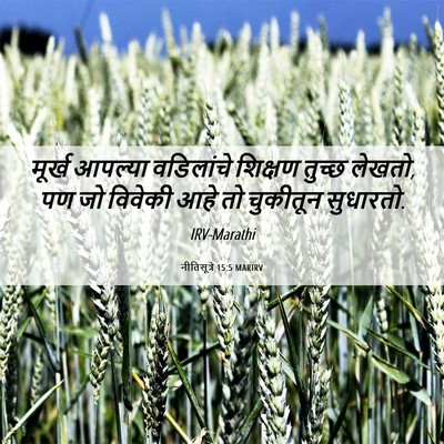 Picture 06 - नीतिसूत्रे 15:5 MARIRV - मूर्ख आपल्या - Bible Verse Picture