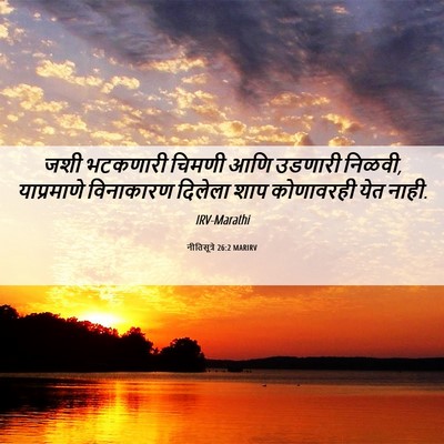 Picture 06 - नीतिसूत्रे 26:2 MARIRV - जशी भटकणारी चिमणी - Bible Verse Picture