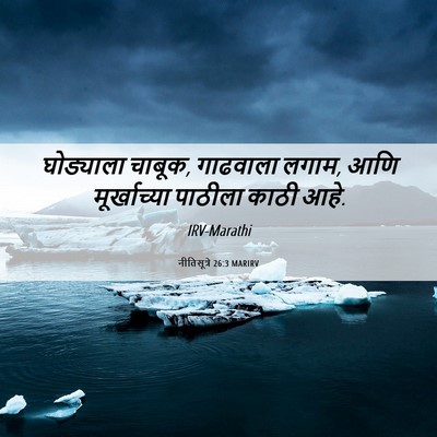 Picture 06 - नीतिसूत्रे 26:3 MARIRV - घोड्याला चाबूक, - Bible Verse Picture