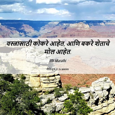 Picture 06 - नीतिसूत्रे 27:26 MARIRV - वस्त्रासाठी कोकरे - Bible Verse Picture