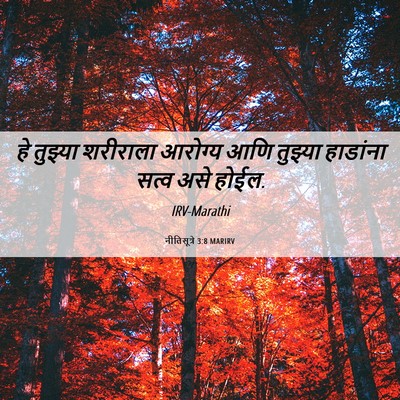 Picture 06 - नीतिसूत्रे 3:8 MARIRV - हे तुझ्या शरीराला - Bible Verse Picture