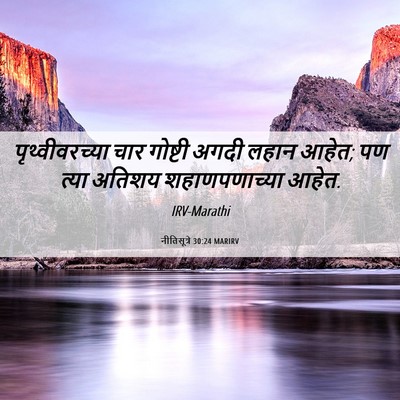 Picture 06 - नीतिसूत्रे 30:24 MARIRV - पृथ्वीवरच्या चार - Bible Verse Picture