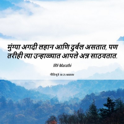 Picture 06 - नीतिसूत्रे 30:25 MARIRV - मुंग्या अगदी लहान - Bible Verse Picture