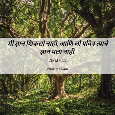 Picture 06 - नीतिसूत्रे 30:3 MARIRV - मी ज्ञान शिकलो - Bible Verse Picture