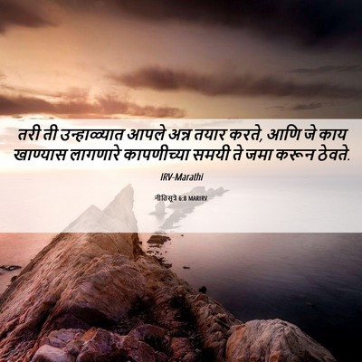 Picture 06 - नीतिसूत्रे 6:8 MARIRV - तरी ती उन्हाळ्यात - Bible Verse Picture