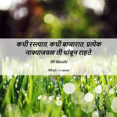 Picture 06 - नीतिसूत्रे 7:12 MARIRV - कधी रस्त्यात, कधी - Bible Verse Picture