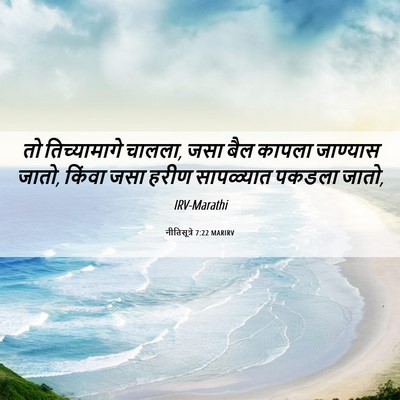 Picture 06 - नीतिसूत्रे 7:22 MARIRV - तो तिच्यामागे - Bible Verse Picture