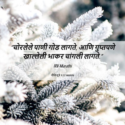 Picture 06 - नीतिसूत्रे 9:17 MARIRV - “चोरलेले पाणी गोड - Bible Verse Picture
