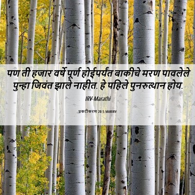 Picture 06 - प्रकटीकरण 20:5 MARIRV - पण ती हजार वर्षे - Bible Verse Picture