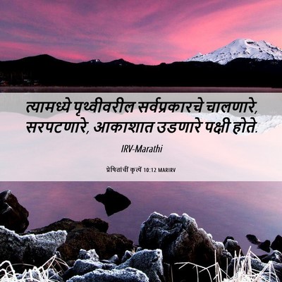 Picture 06 - प्रेषितांचीं कृत्यें 10:12 MARIRV - त्यामध्ये - Bible Verse Picture