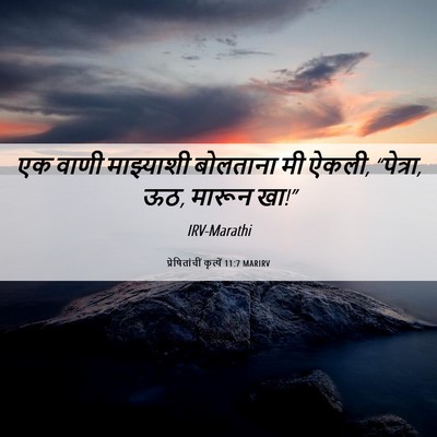Picture 06 - प्रेषितांचीं कृत्यें 11:7 MARIRV - एक वाणी माझ्याशी - Bible Verse Picture