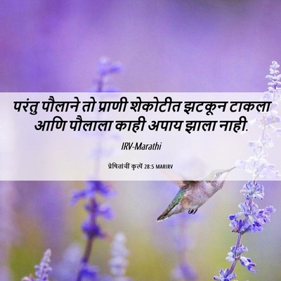 Picture 06 - प्रेषितांचीं कृत्यें 28:5 MARIRV - परंतु पौलाने तो - Bible Verse Picture