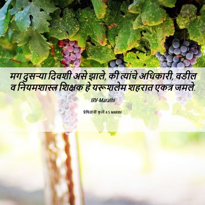 Picture 06 - प्रेषितांचीं कृत्यें 4:5 MARIRV - मग दुसऱ्या दिवशी - Bible Verse Picture