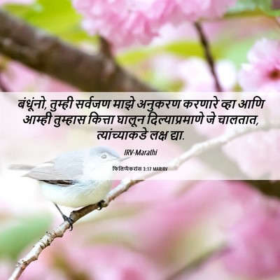 Picture 06 - फिलिप्पैकरांस 3:17 MARIRV - बंधूंनो, तुम्ही - Bible Verse Picture
