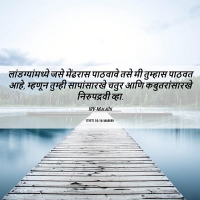 Picture 06 - मत्तय 10:16 MARIRV - लांडग्यांमध्ये - Bible Verse Picture