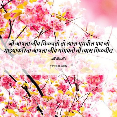 Picture 06 - मत्तय 10:39 MARIRV - जो आपला जीव मिळवतो - Bible Verse Picture