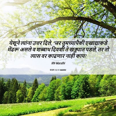 Picture 06 - मत्तय 12:11 MARIRV - येशूने त्यांना - Bible Verse Picture