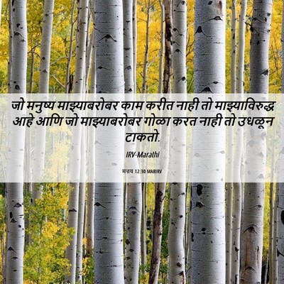 Picture 06 - मत्तय 12:30 MARIRV - जो मनुष्य - Bible Verse Picture