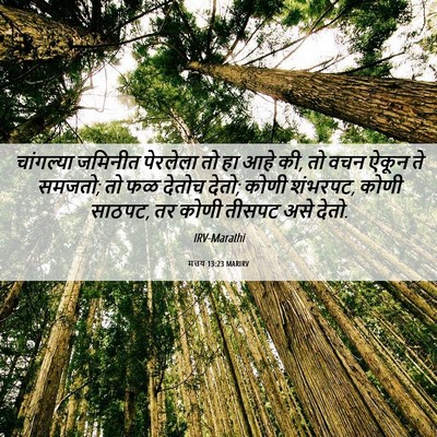 Picture 06 - मत्तय 13:23 MARIRV - चांगल्या जमिनीत - Bible Verse Picture
