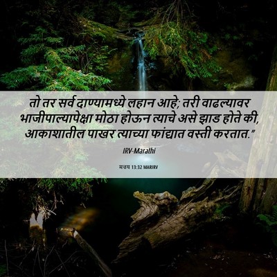Picture 06 - मत्तय 13:32 MARIRV - तो तर सर्व - Bible Verse Picture