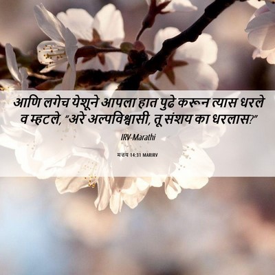 Picture 06 - मत्तय 14:31 MARIRV - आणि लगेच येशूने - Bible Verse Picture
