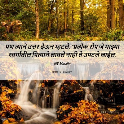 Picture 06 - मत्तय 15:13 MARIRV - पण त्याने उत्तर - Bible Verse Picture