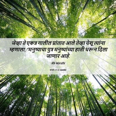 Picture 06 - मत्तय 17:22 MARIRV - जेव्हा ते एकत्र - Bible Verse Picture