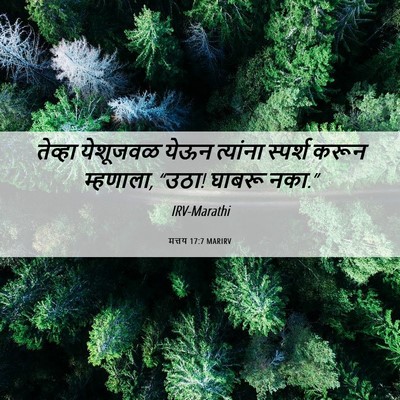 Picture 06 - मत्तय 17:7 MARIRV - तेव्हा येशूजवळ - Bible Verse Picture