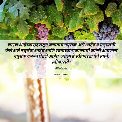 Picture 06 - मत्तय 19:12 MARIRV - कारण आईच्या - Bible Verse Picture