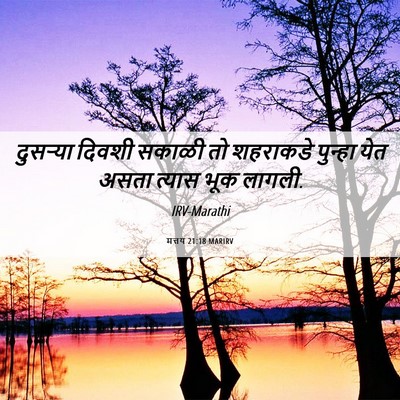Picture 06 - मत्तय 21:18 MARIRV - दुसऱ्या दिवशी - Bible Verse Picture
