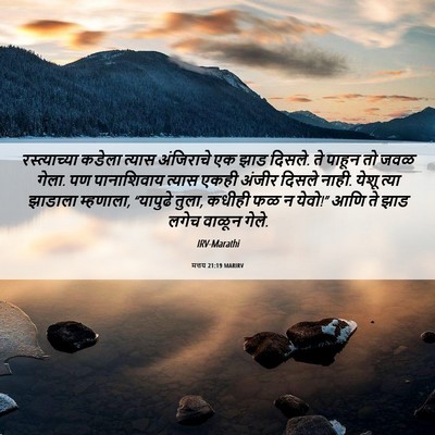 Picture 06 - मत्तय 21:19 MARIRV - रस्त्याच्या कडेला - Bible Verse Picture