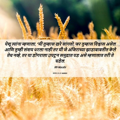 Picture 06 - मत्तय 21:21 MARIRV - येशू त्यांना - Bible Verse Picture