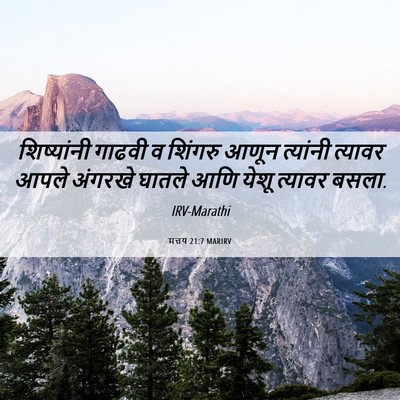 Picture 06 - मत्तय 21:7 MARIRV - शिष्यांनी गाढवी व - Bible Verse Picture
