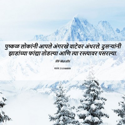 Picture 06 - मत्तय 21:8 MARIRV - पुष्कळ लोकांनी - Bible Verse Picture