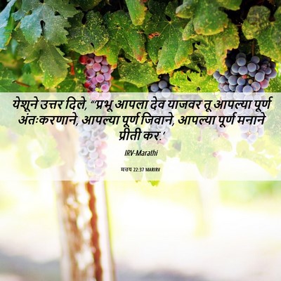 Picture 06 - मत्तय 22:37 MARIRV - येशूने उत्तर दिले, - Bible Verse Picture