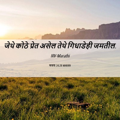 Picture 06 - मत्तय 24:28 MARIRV - जेथे कोठे प्रेत - Bible Verse Picture