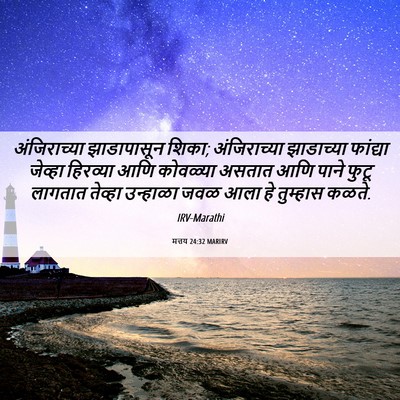 Picture 06 - मत्तय 24:32 MARIRV - अंजिराच्या - Bible Verse Picture